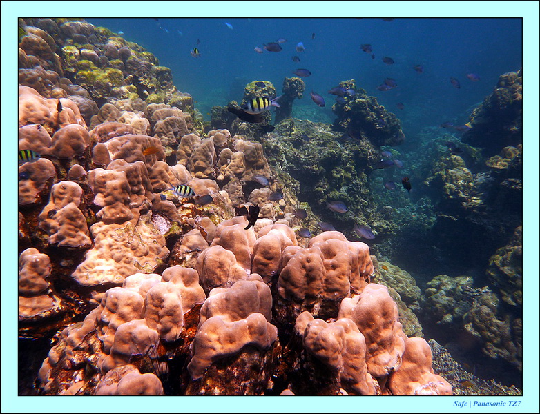 2011 - 03 - Koh Rok 18